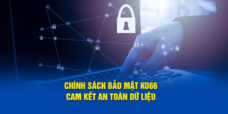 Các điều khoản trong chính sách bảo mật KO66