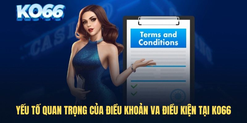 Yếu tố quan trọng của điều khoản va điều kiện tại KO66